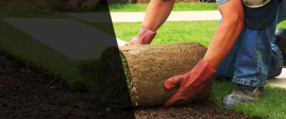 Pearson Landscapers